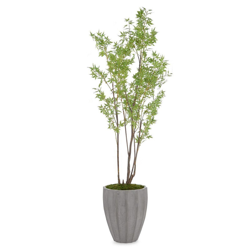 John Richard Decor Rocky Mountain Maple