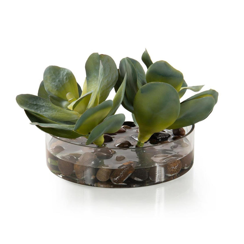 John Richard Decor Rocky Succulents