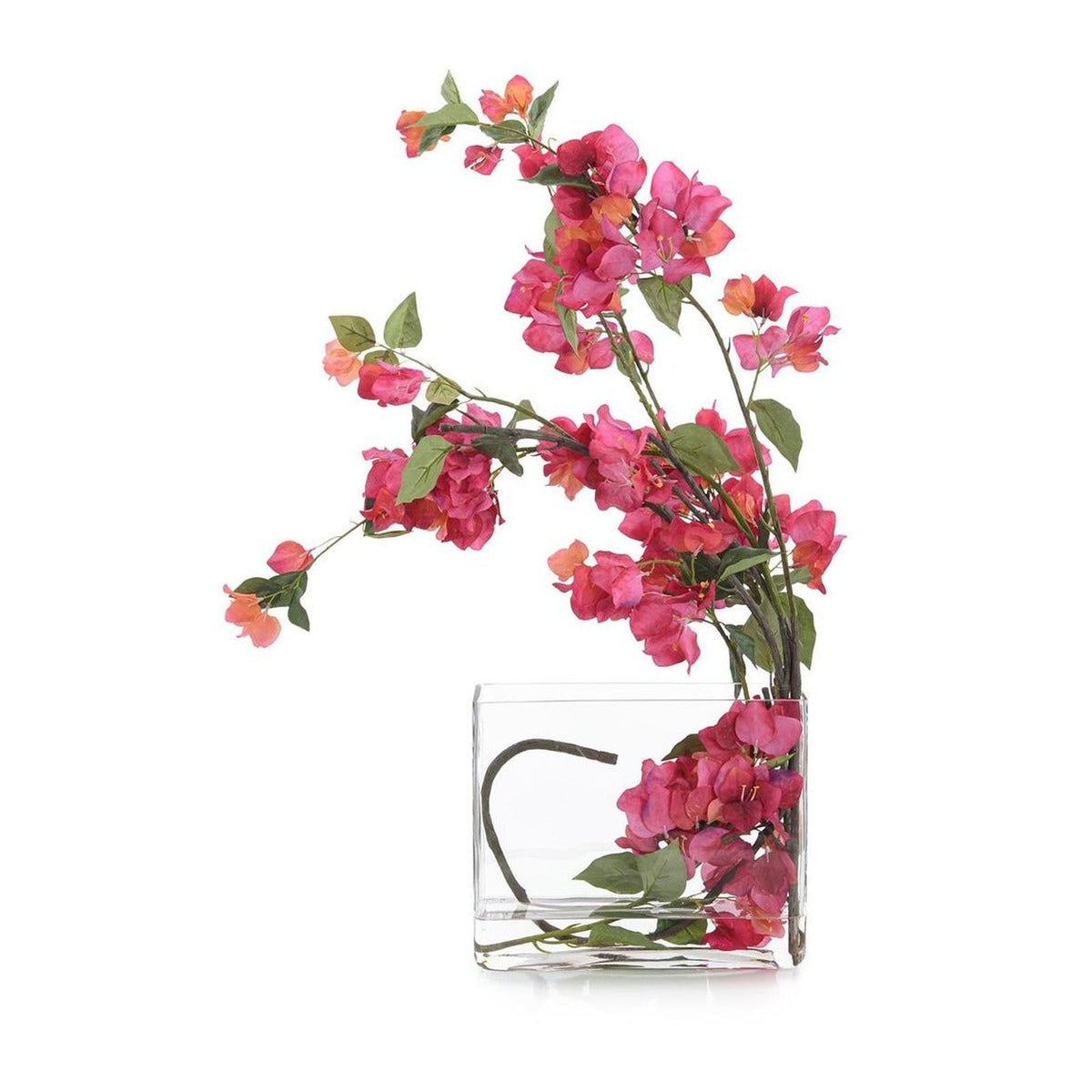 John Richard Decor Sweet Bougainvillea