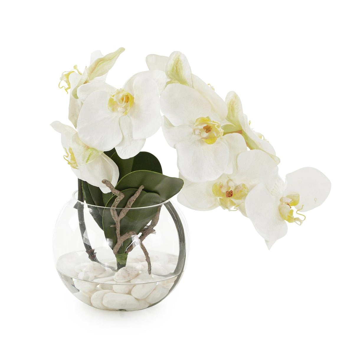 John Richard Decor Aqua White Orchid
