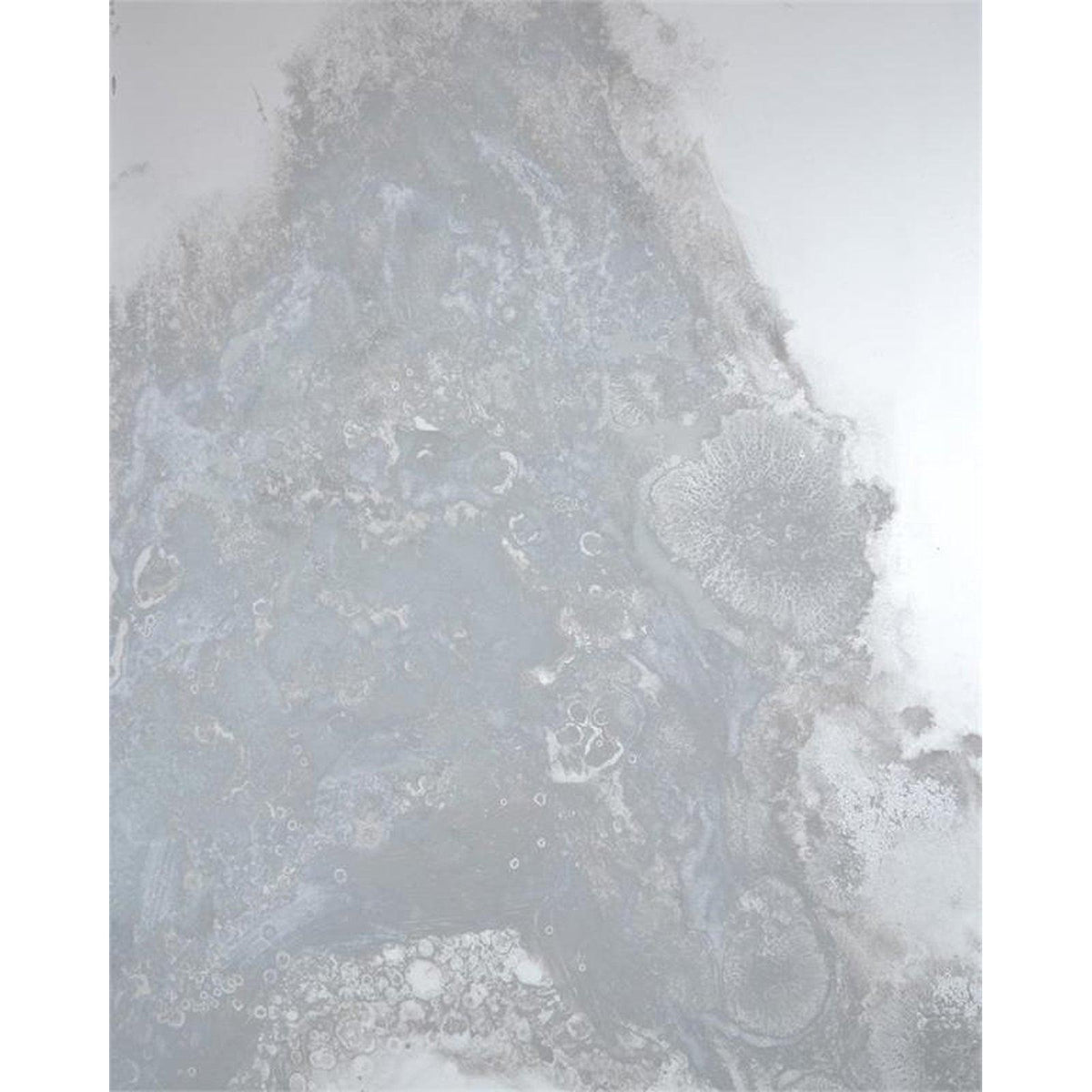 John Richard Meuse Mirror Panels (Set of Four)