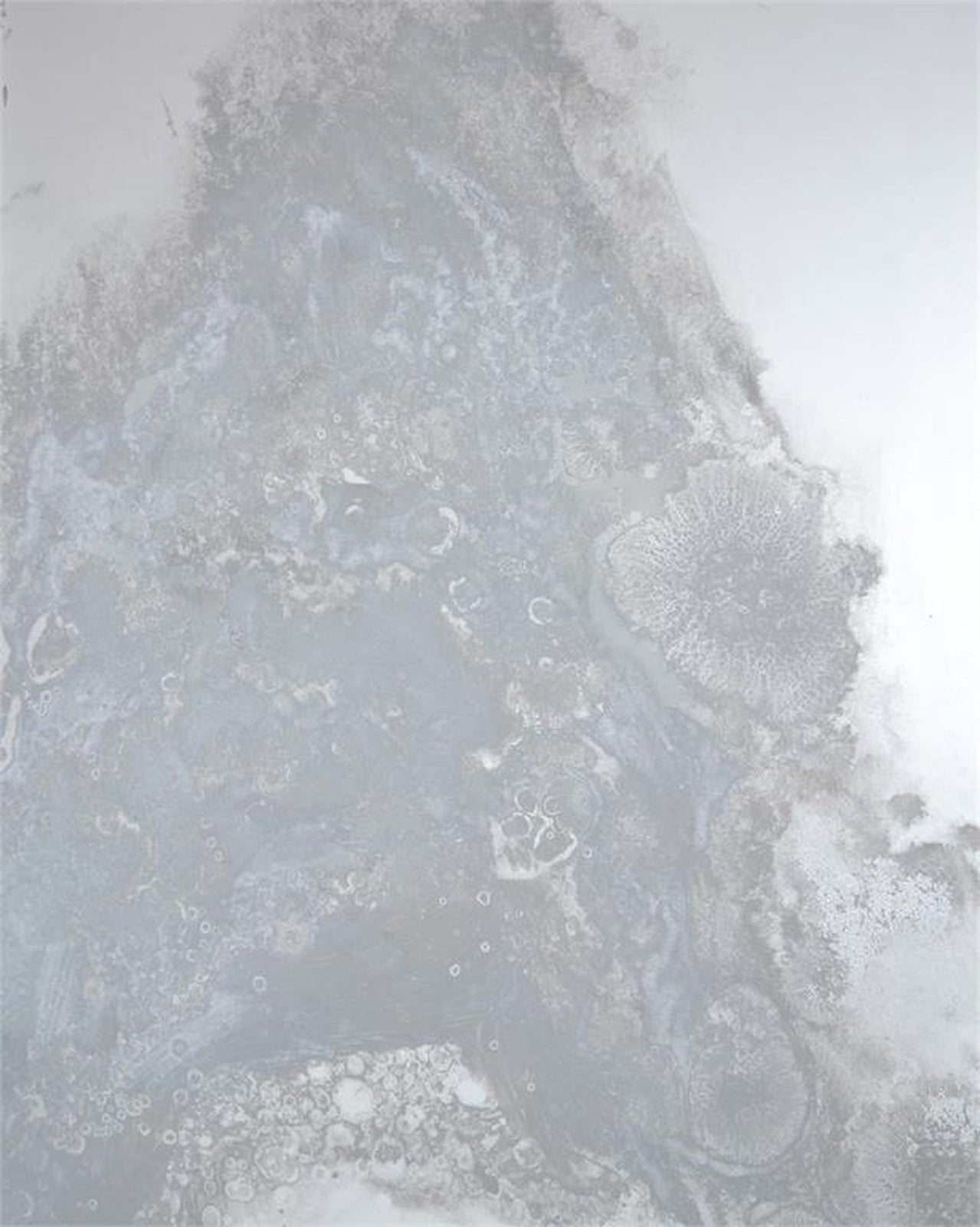 John Richard Meuse Mirror Panels (Set of Four)