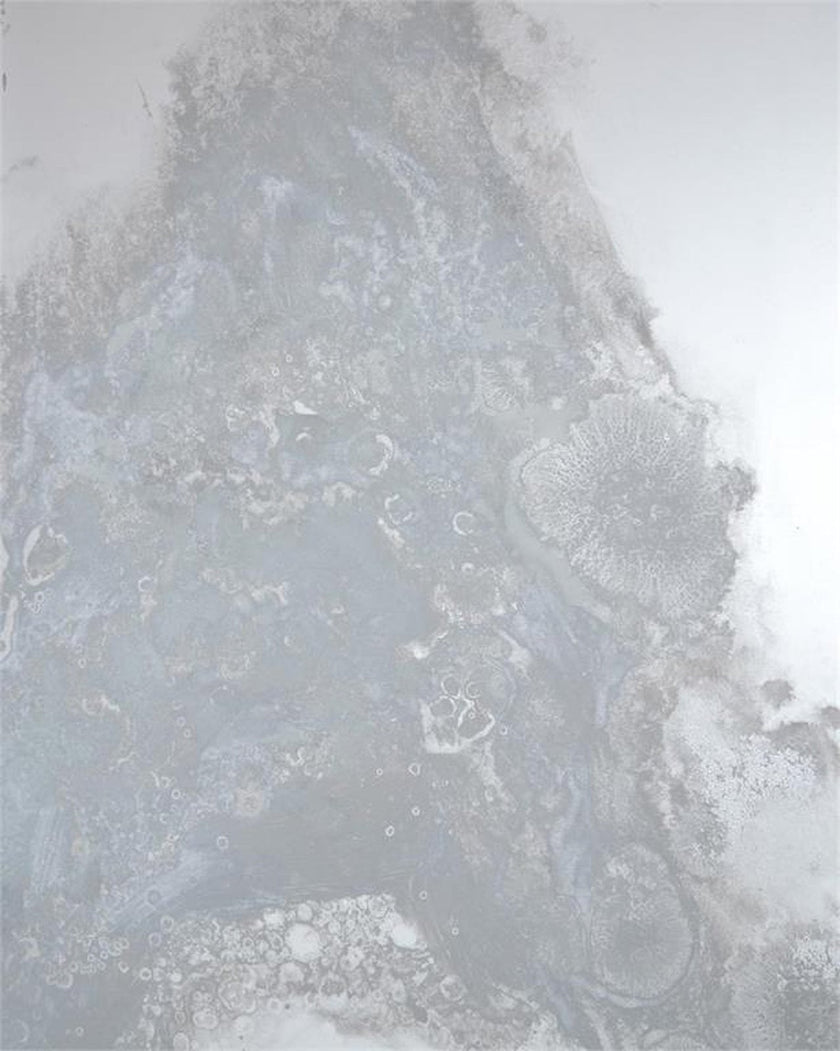 John Richard Meuse Mirror Panels (Set of Four)