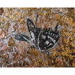 John Richard Teng Fei's Gilded Butterflies Wall Art