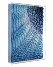 John Richard Tony Fey's Rays of Ocean Light Wall Art