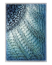 John Richard Tony Fey's Rays of Ocean Light Wall Art