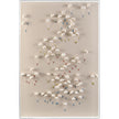 John Richard Tony Fey's Floating Wall Art