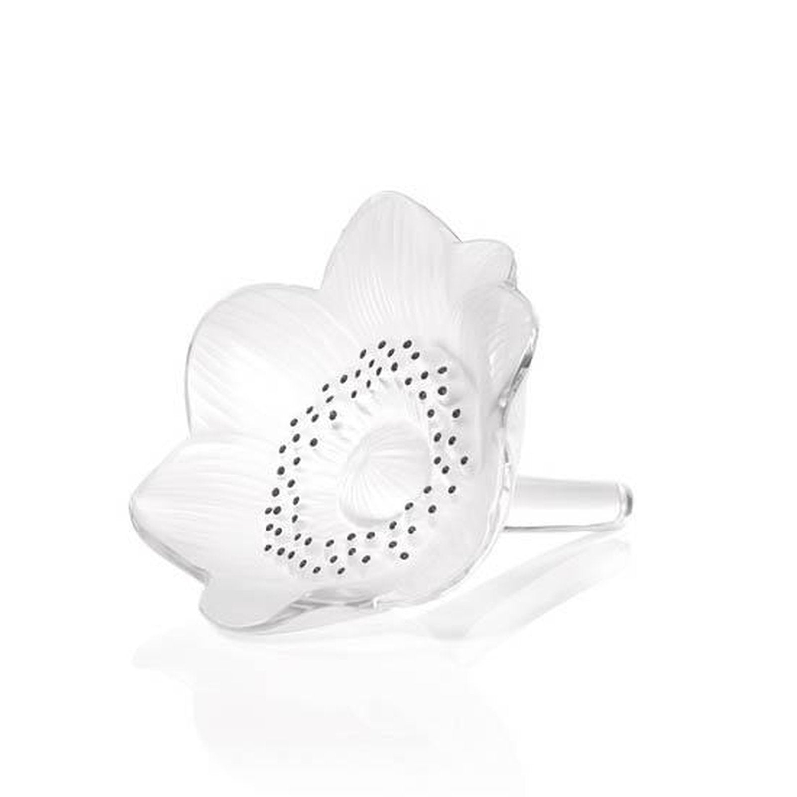 Lalique Anemone Sculpture