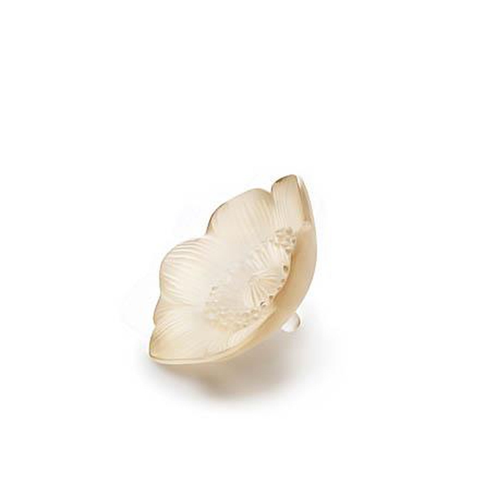 Lalique Anemone Small Sculpture