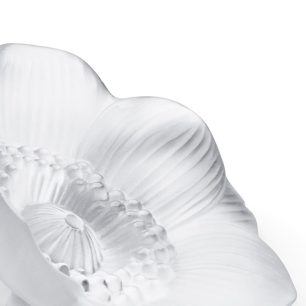 Lalique Anemone Small Sculpture