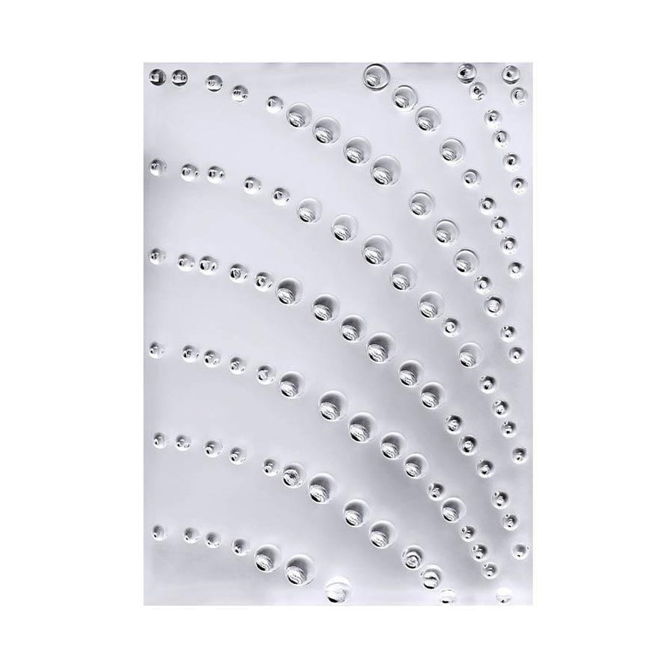 Lalique Coutard Decorative Panel