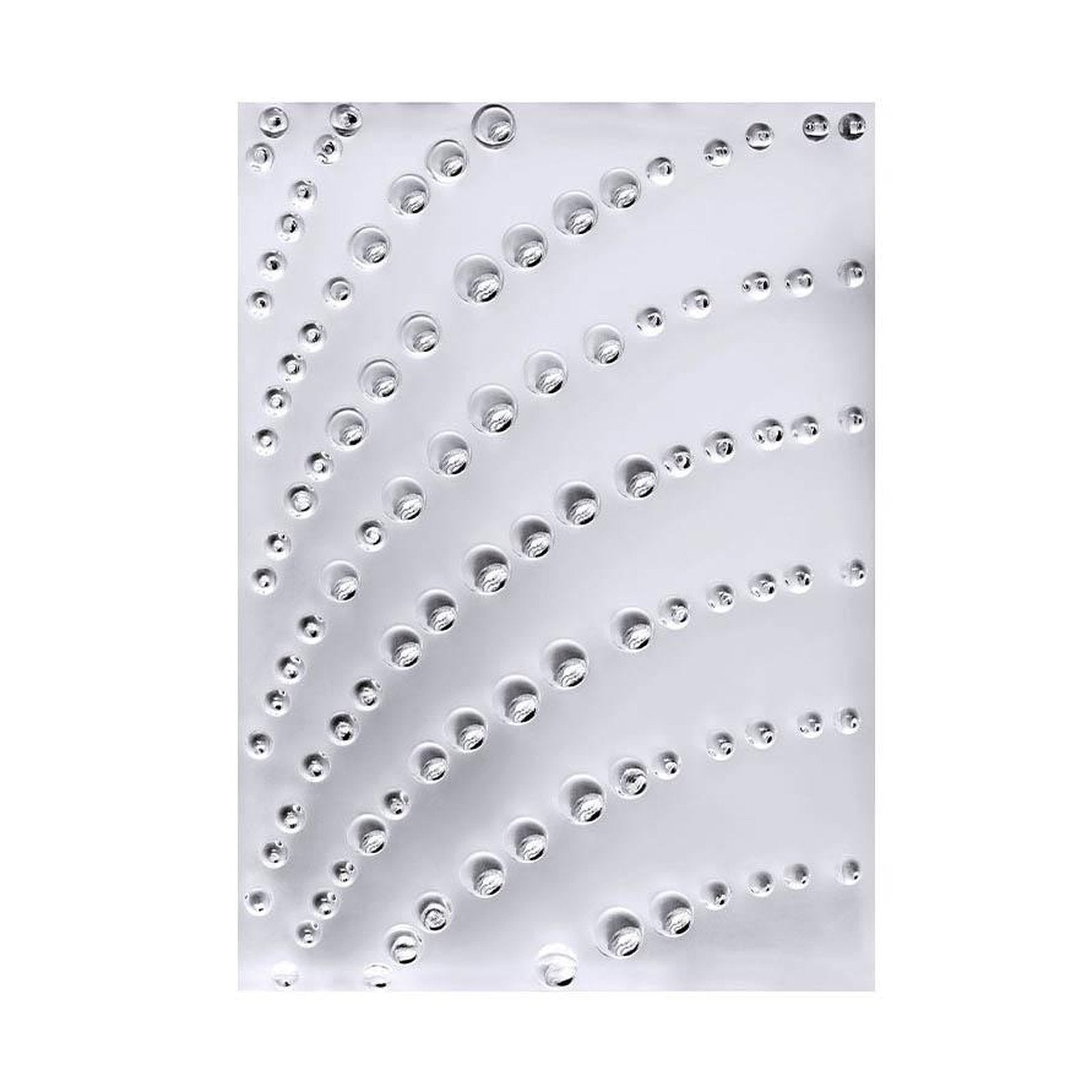 Lalique Coutard Decorative Panel