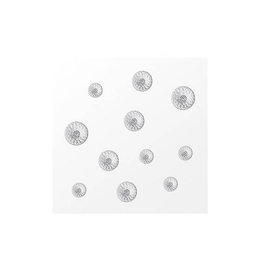Lalique Dahlia Interior Panel Medium