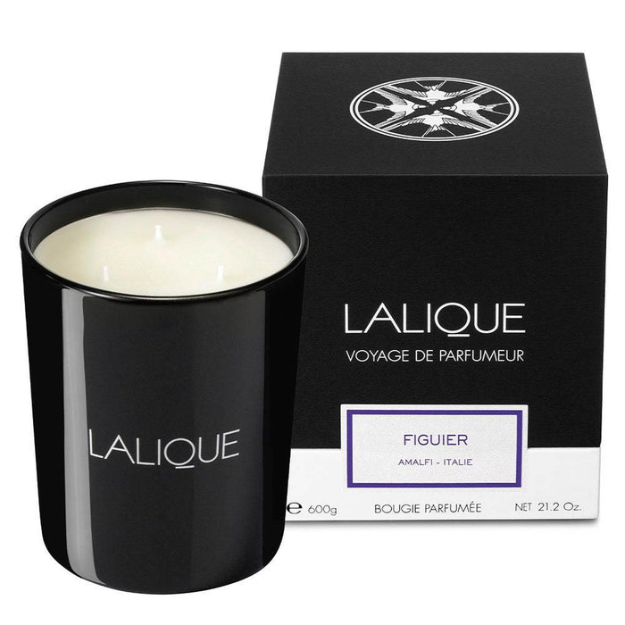 Lalique Fig Tree Amalfi - Italy Scented Candle Large