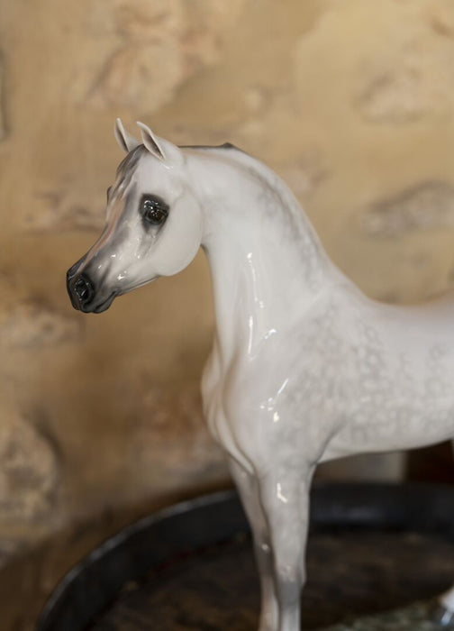 Lladro Arabian Pure Breed Horse Figurine Limited Edition