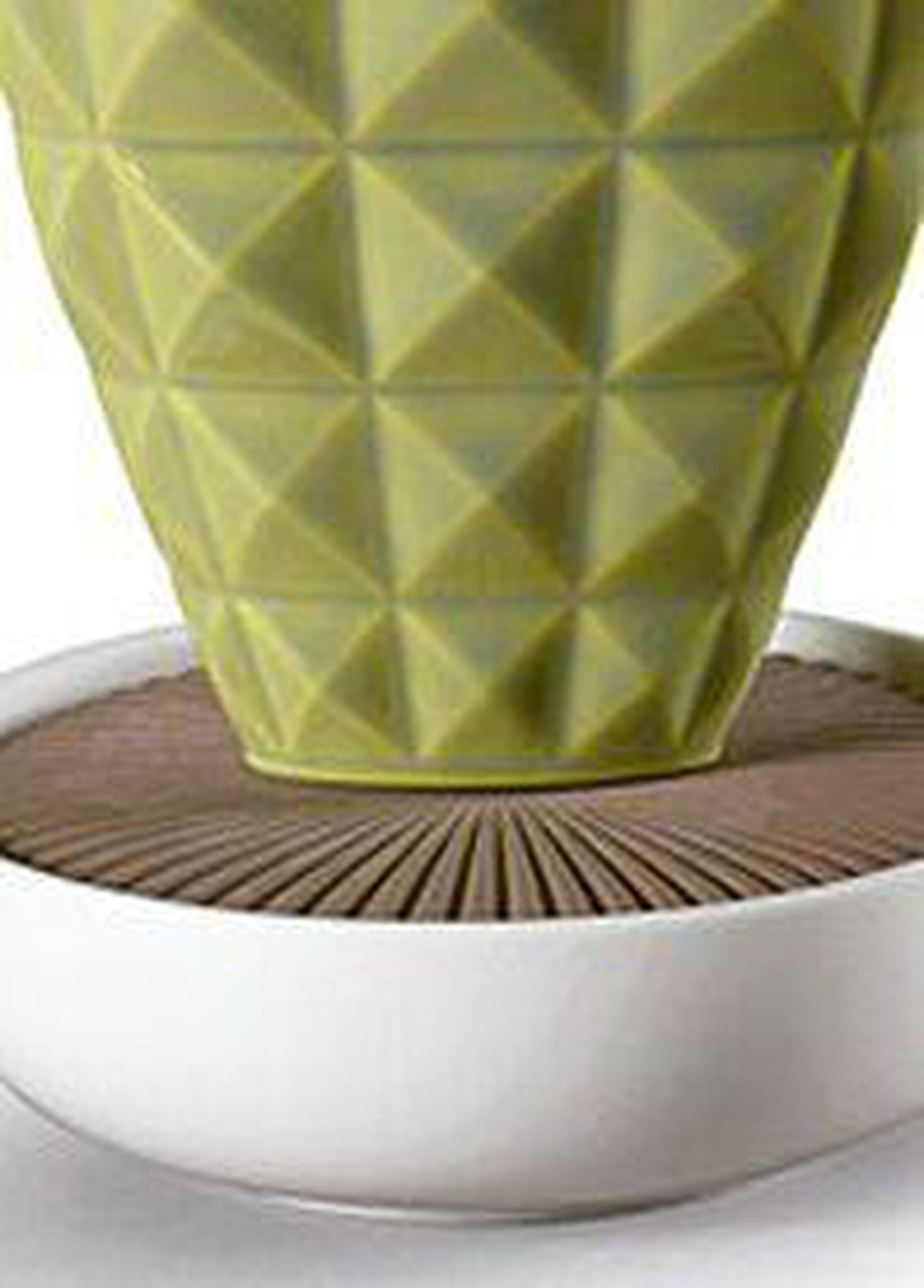 Lladro Opuntia Cactus Diffuser