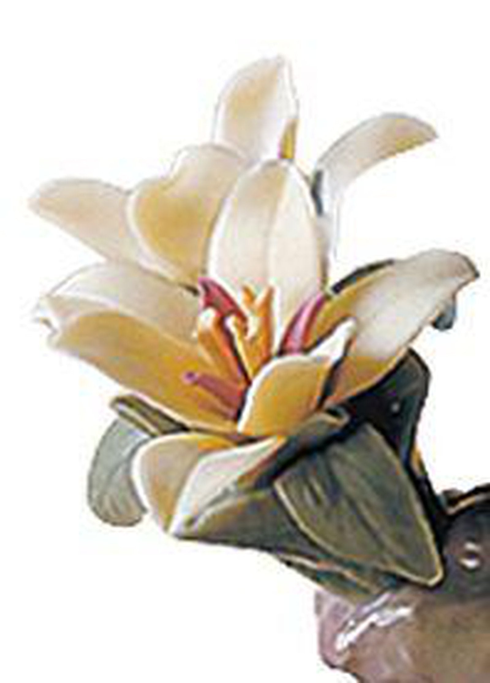 Lladro The Snake Figurine