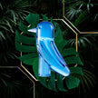 Baccarat Faunacrystopolis Blue Bird