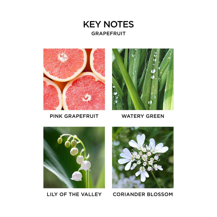 Nest Grapefruit Candle