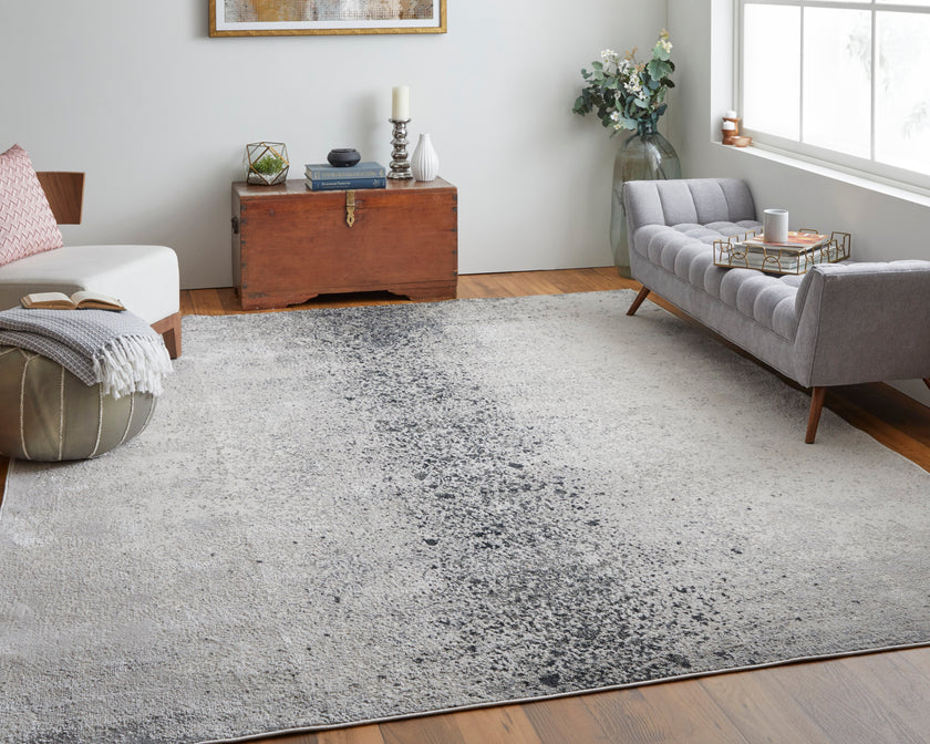 Feizy Astra 39L2F Rug