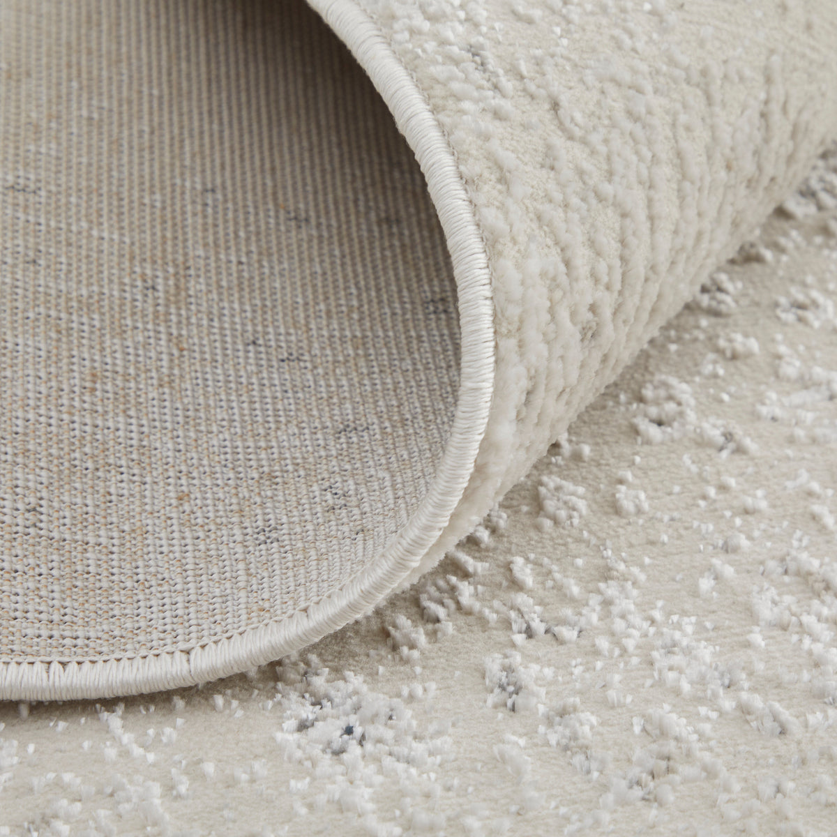 Feizy Astra 39L2F Rug