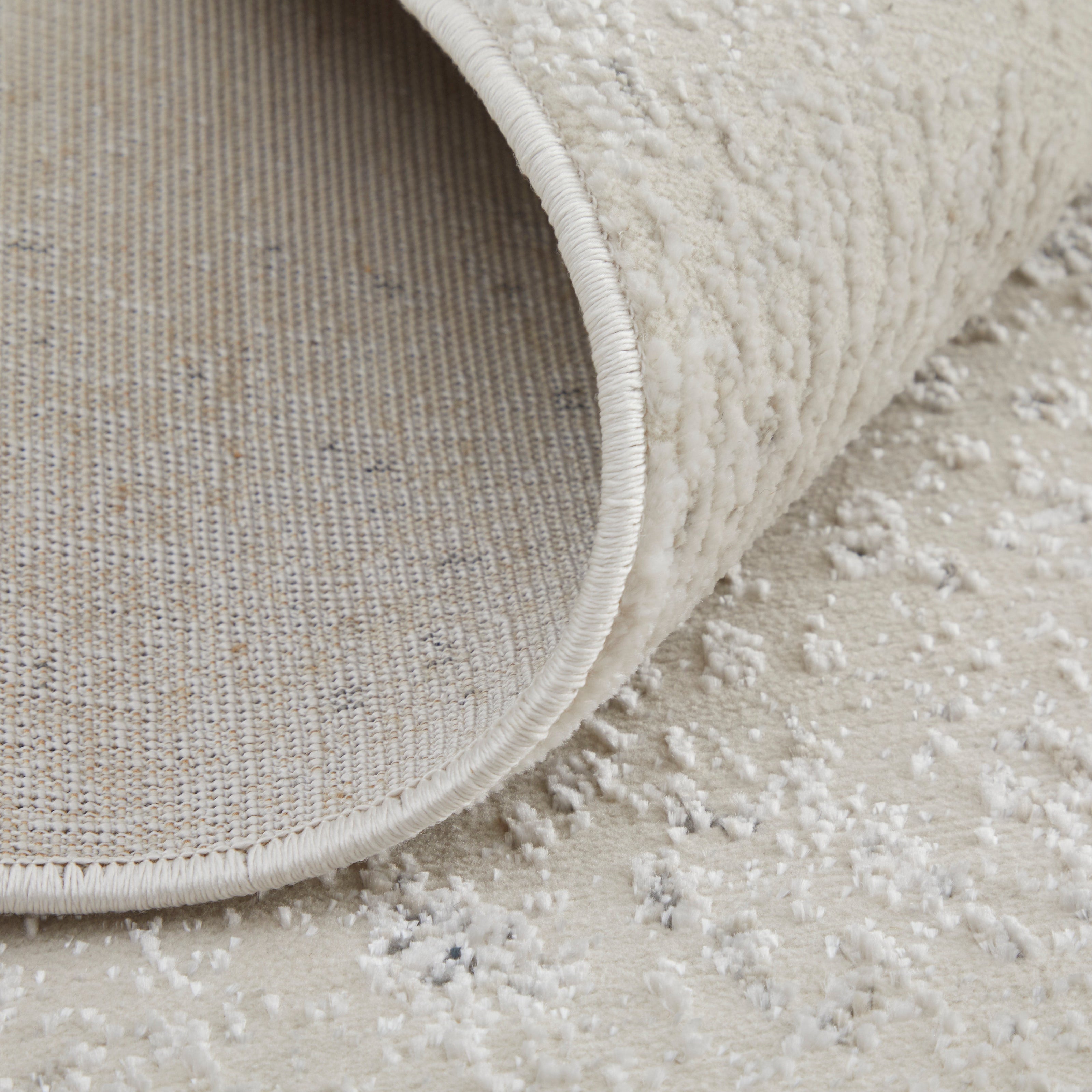 Feizy Astra 39L2F Rug