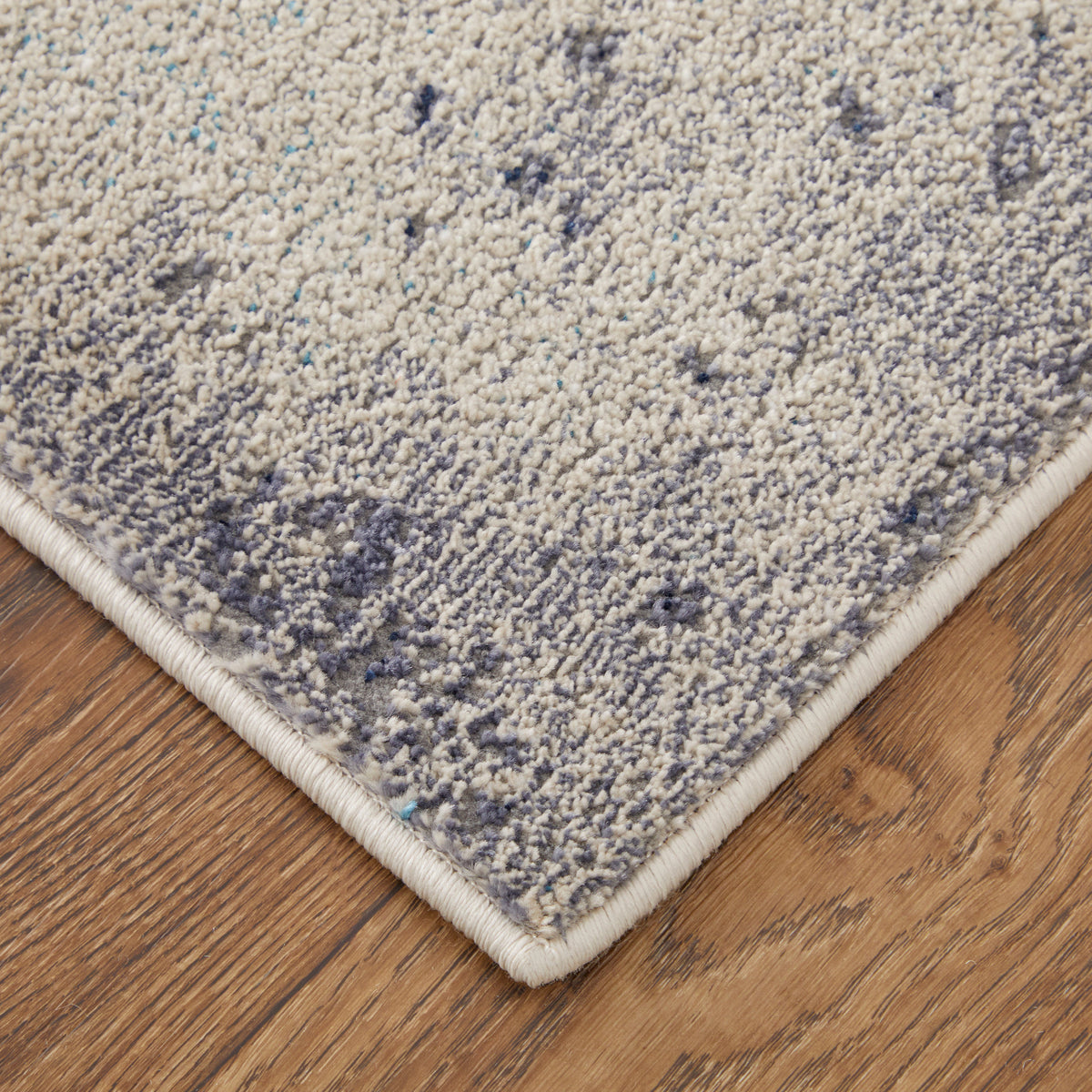Feizy Astra 39L2F Rug