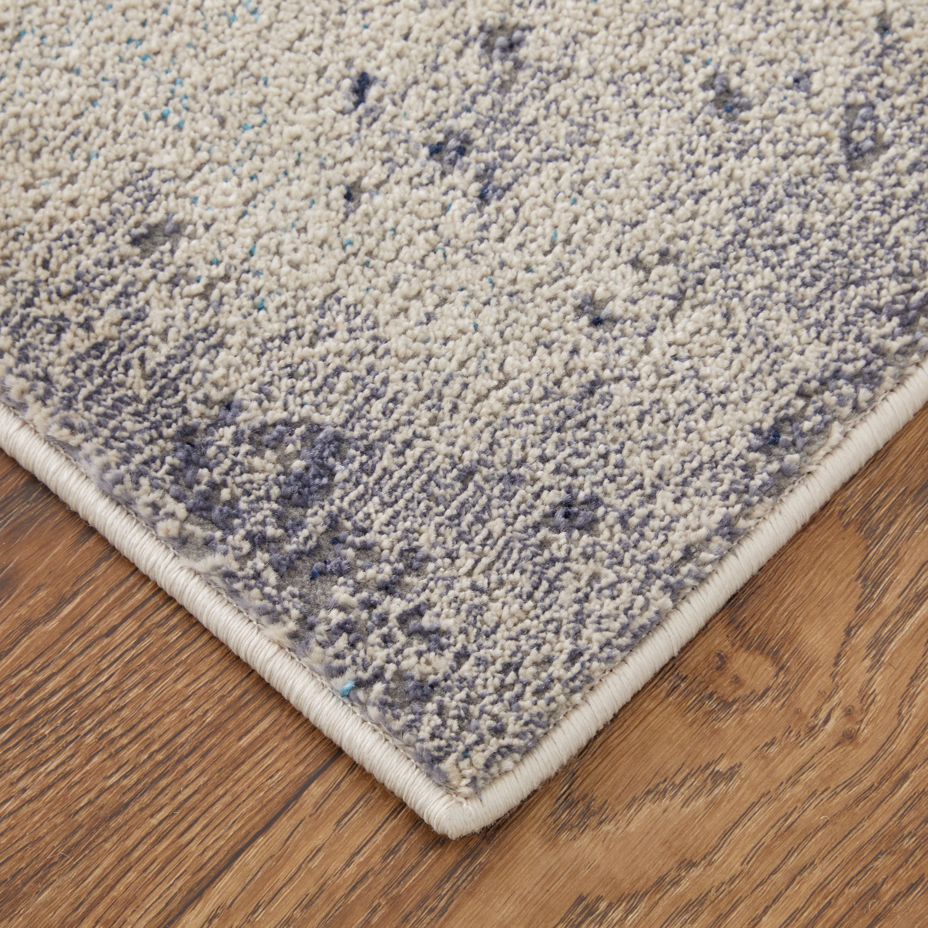 Feizy Astra 39L2F Rug